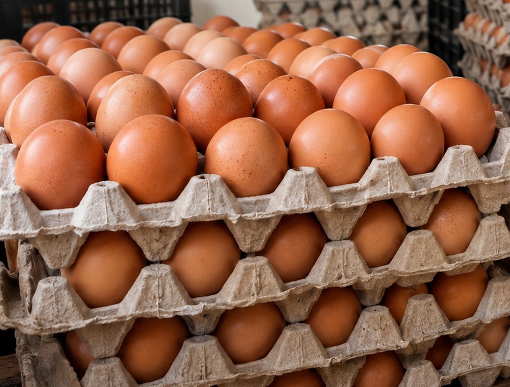 Large fresh eggs in crate